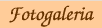 Fotogaleria