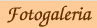 Fotogaleria